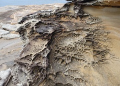 DSC00129a